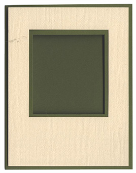 A-2 Window Overlay Kit<br>Square OR Oval Window Available<br>Jellybean Green/Blonde
