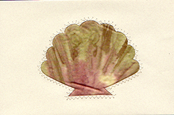 Seashell <br>Quilt-A-Card