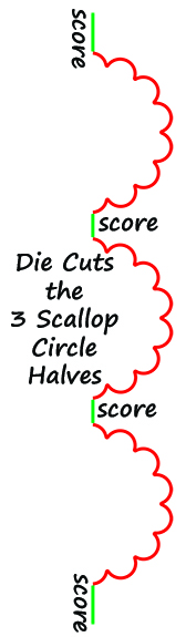 Triple Scallop Circle (1.5