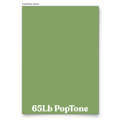 PopTone Gumdrop Green 65 Lb Cardstock