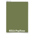 PopTone Jellybean Green 65 Lb Cardstock