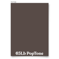 PopTone Hot Fudge 65 Lb Cardstock