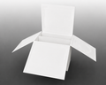 Square Pop-Up Box Card 5 ct with Envelopes