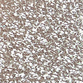 Silver Stardust Holographic