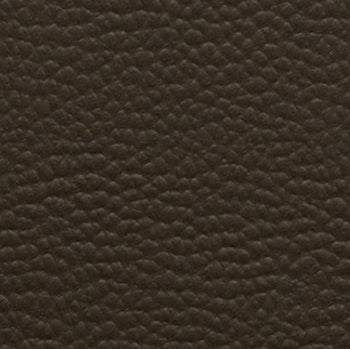 Brown LEATHERLIKE Cardstock