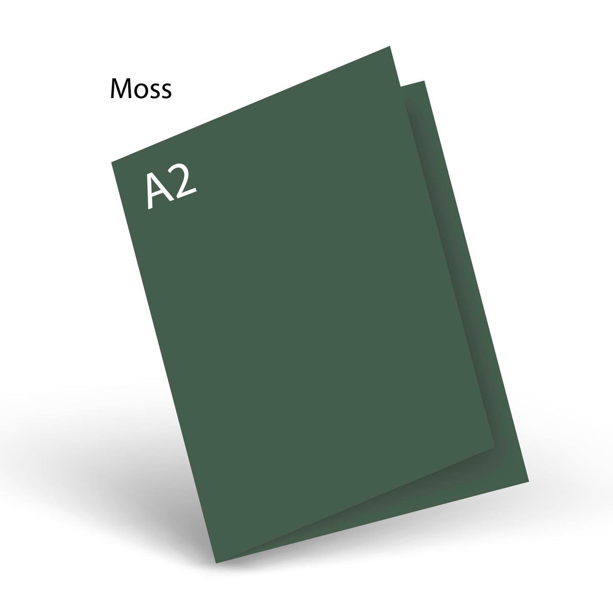 Moss 80 LB Smooth Lessebo A-2 Scored Card