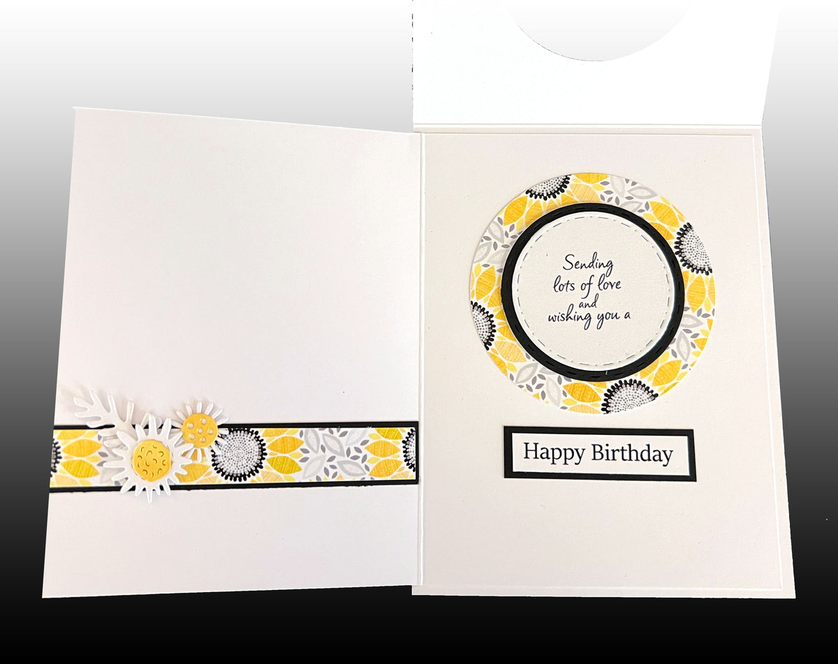 8 ct Peek-A-Boo STENO Card Set