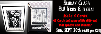 SUN Sept 20th Virtual Class - Black & White Floral & Ferns