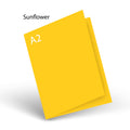 Sunflower 80 LB Smooth Lessebo A-2 Scored Card