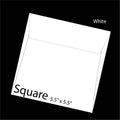 White Square Envelope 5.5" x 5.5"