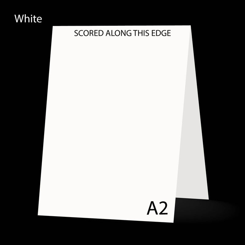 White 80 Lb A-2 Steno Scored Cards
