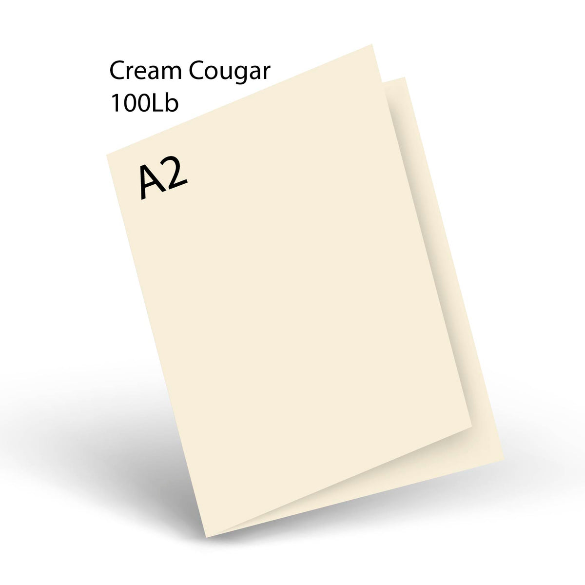 Cream Cougar Opaque 100 Lb A-2 Scored Card