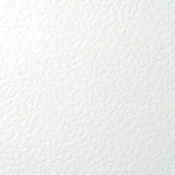 White "Hammered" 111 Lb Cardstock
