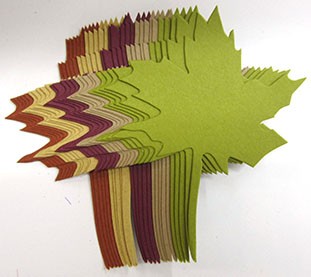 Large Maple Leaves<br>Autumn Variety